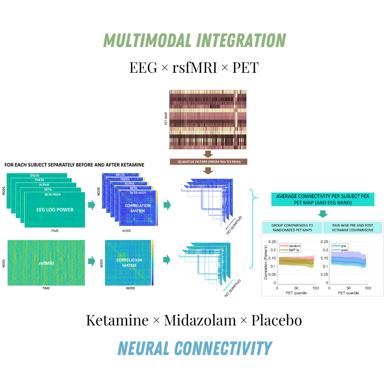 Functional brain connectivity matrices filtered using PET-derived neurotransmitter receptor maps